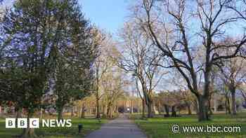 Murder charge over 2012 park attack