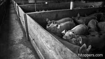 The 5 Camera Accessories Every Photographer Actually Uses (And a Few You Probably Don’t Need)