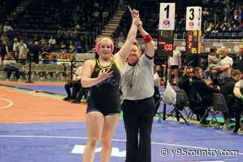 PhotoFest: Girls State Wrestling Championships