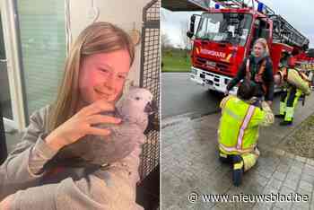 Kelly (17) heeft Tico terug na zoek- en reddingsacties tot in de toppen van de bomen: “Ik huilde vaak, maar gaf nooit op”