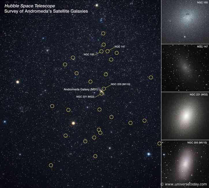 Andromeda’s Dwarf Galaxies Reveal Unique Star Formation Histories