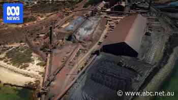 'Relying on luck for safety': Whyalla steelworks losing $1.5m a day before administration