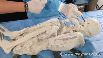 'Alien' mummies have been proven to be 100% real in shock breakthrough, says scientist