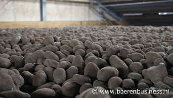 Nederland buitenbeentje op de aardappelmarkt