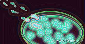 Recent Virus Research Should Raise Alarm