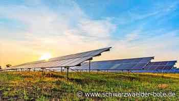 Energiegesellschaft in Althengstett: Vorerst geht es um das Strom- und Gasgeschäft