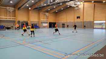 Vuistwezel verliest nipt finale BK vuistbal van de Vrolijke Vuistbal Vrienden Grobbendonk