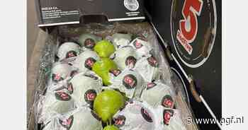 "We verwachten een uitstekend Argentijnse perenseizoen "