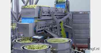 Automatische droogmachine voor gesneden groenten