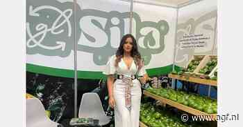 "Voor 2025 hebben we onze export voor Dominicaanse avocado en exoten opgeschaald"