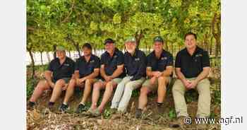 "Tot nu toe geen druppel regen tijdens druivenoogst in de Hex"