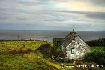 Farms with holiday lets urged to maximise tax savings before 6 April