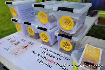 Imkers van Asse gaan opnieuw de strijd aan met de Aziatische hoornaar
