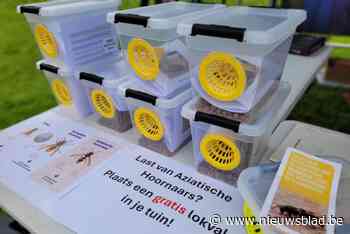 Imkers van Asse gaan opnieuw de strijd aan met de Aziatische hoornaar