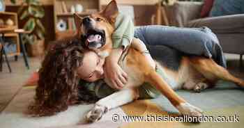 Vote for Your Favourite Local Pet Shop or Groomers