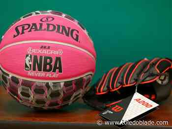 Nonprofit aims to bring low-cost elementary sports programs to all