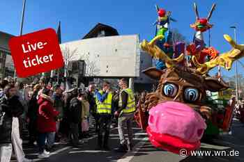 Live: Beste Stimmung beim Rosenmontagszug in Münster