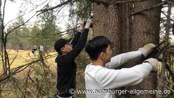 Umweltaktion des Forstreviers Lech: Schüler engagieren sich für den Schutz der Hurlacher Heide