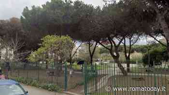 Ostia, chiude il “parco dei Fusco”: ci sono 20 pini da abbattere