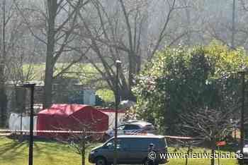 59-jarige fietser dood aangetroffen in beek in Hombeek: “Wellicht ongelukkig ten val gekomen”