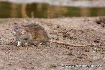 More legislation changes afoot to bolster rodenticide stewardship
