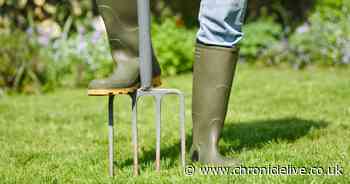 Gardening experts explain simple method to get a greener lawn this spring