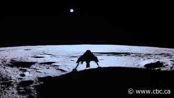 Private spacecraft Blue Ghost lands successfully on moon