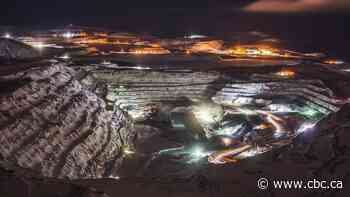 In a tariff war with the U.S., these industry leaders have some ideas about how Canada can come out ahead