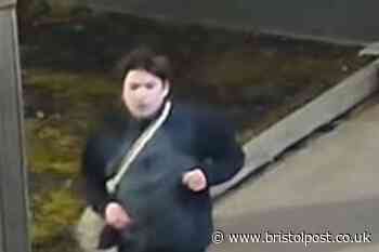 Missing Luis Piovesana's disturbing last-known movements