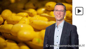 Hoge pieken en diepe dalen kenmerken aardappelprijs