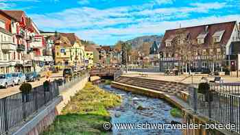 Problem Starkregen in Bad Herrenalb: Gefahren und Risiken im Fokus