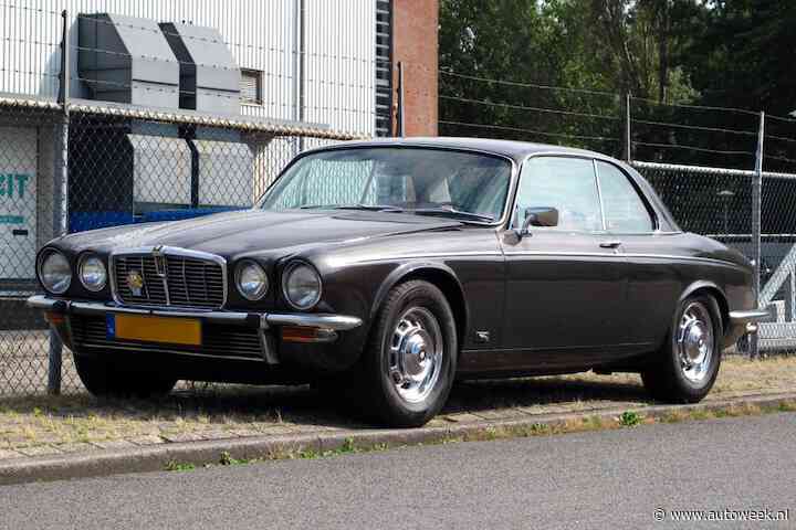 De Jaguar XJ Coupé komt je een portie weemoed bezorgen - In het Wild