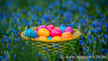 Oster-Schock! Gehen uns jetzt die Eier aus?