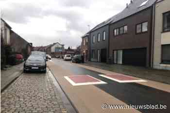 N-VA wil weggehaalde rijbaankussens creatief recycleren: “We hopen dat ze geen overlast meer bezorgen”