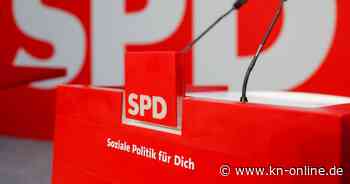 SPD: Wahl um Parteispitze ein halbes Jahr früher