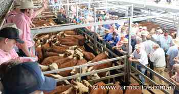 Broadacre profits set to leap as 2024-25 farmgate production value hits $92b