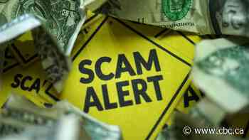 New advertising campaign warns public about ‘pig butchering’ scams