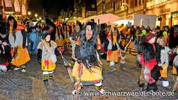 Fasnet in Calw: So bunt war der 18. Nachtumzug – das sind die Bilder