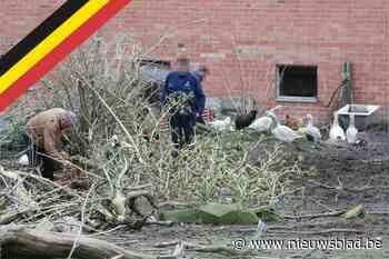 Truiense boer Vangilbergen mag ook van beroepsrechter nooit meer dieren houden