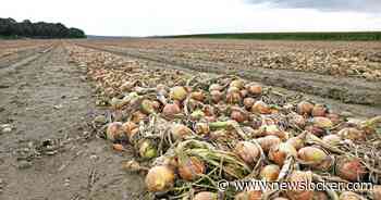 VS voeren dinsdag importheffingen in van 25% voor producten uit Canada en Mexico