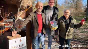 Genk zoekt niet-geregistreerde imkers om Aziatische hoornaars te bestrijden
