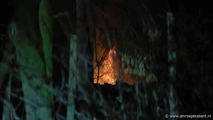 Brand in dierentuin: vuur woedt in verblijf van brulapen