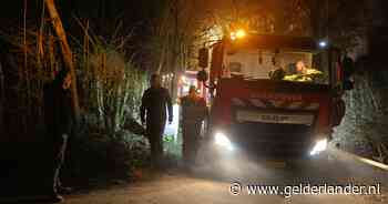 Brulapen omgekomen bij brand in dierentuin ZooParc in Overloon