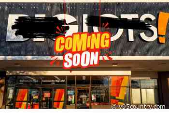 What's Replacing All of Those Empty Big Lots Stores?