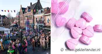 Verkleed als dekhengst meekijken hoe twee agenten undercover als krokodil en Minion op snuivende carnavalisten jagen