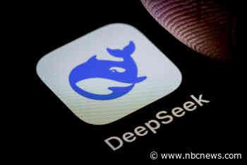 Bipartisan congressional duo encourages governors to ban DeepSeek on government devices