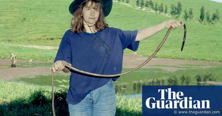 Mysterious and vulnerable: the secret lives of Australia’s giant worms