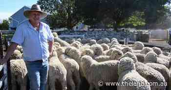Meet the top five producers from the Taralga Region Flock Ewe Competition
