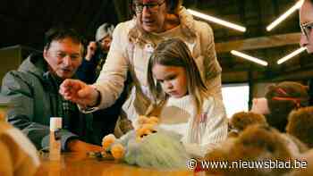 Knuffelberen krijgen tweede leven in Bokrijk tijdens knuffelvakantie: “Witje ziet er nu zó leuk uit”