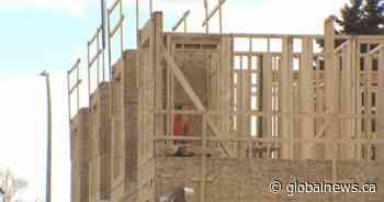 Calgary unveils housing chief amid surge in development permits after city-wide rezoning